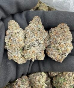 BLUE STARBUST