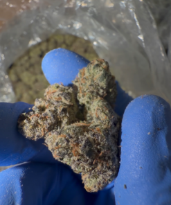 Candy Kush Strain | California Hash Supply